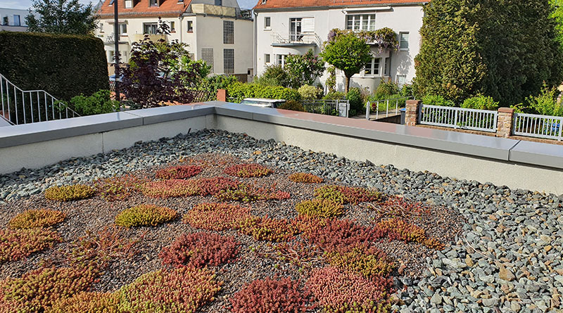 Dachbegrünung vom Garten- und Landschaftsbauer Björn Löser